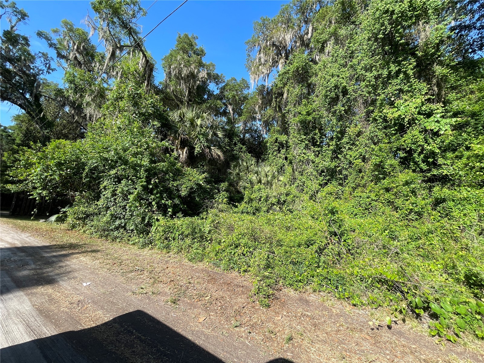 NE 37th Terrace Citra FL 32113 OM723944 image2