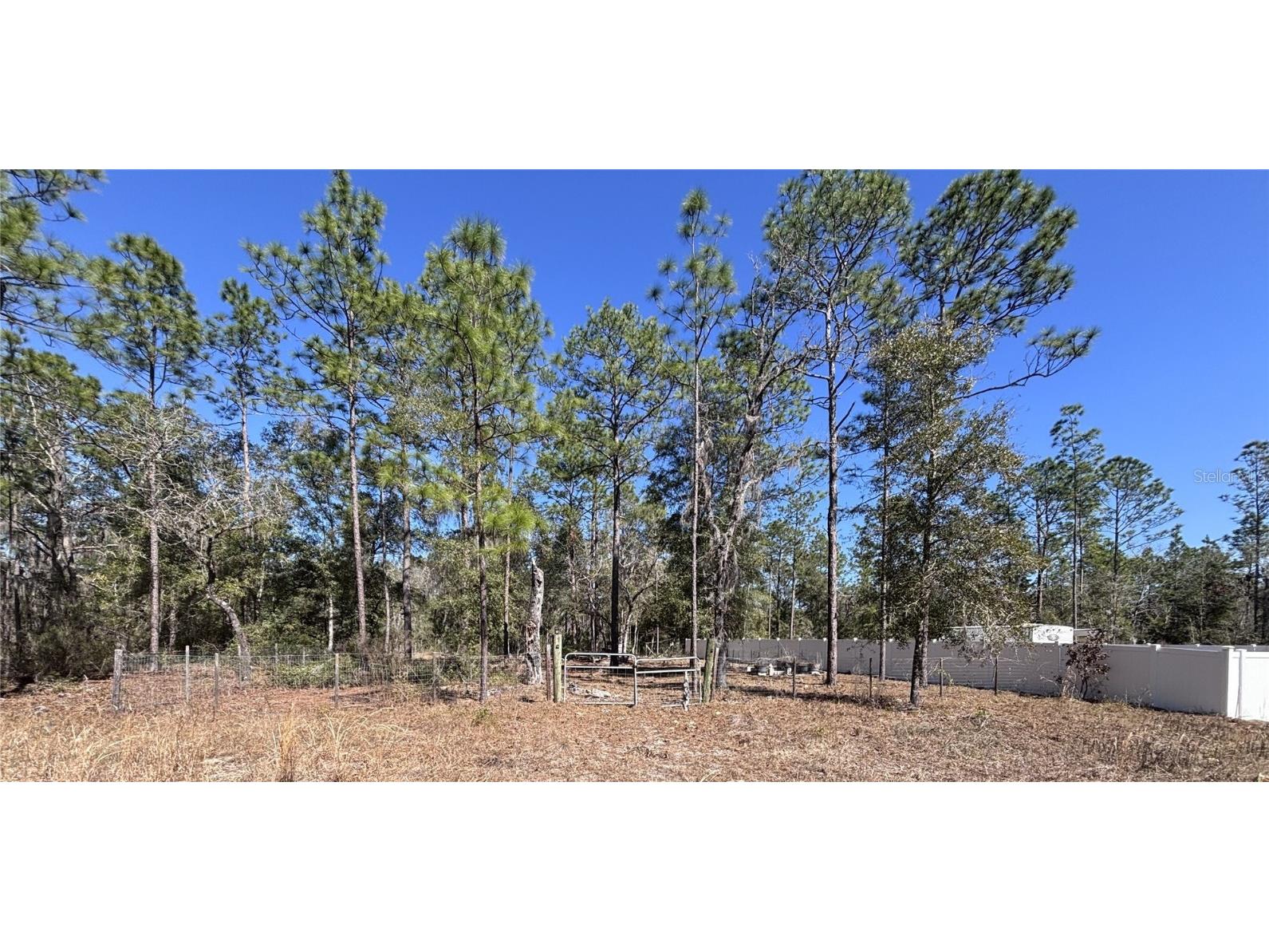 NE 3rd Place Williston FL 32696 OM696080 image1