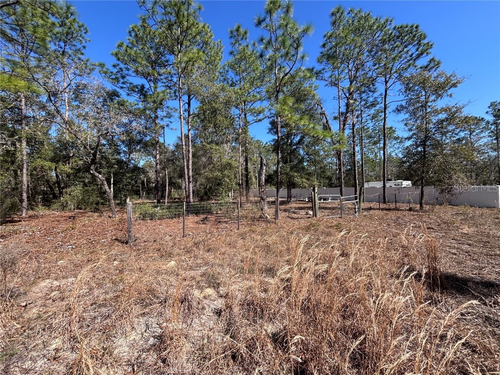 NE 3rd Place Williston FL 32696 OM696080 image2