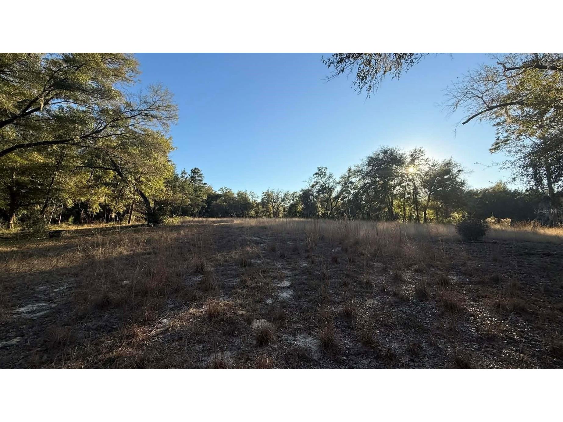 NE 40th Street Williston FL 32696 O6376189 image1