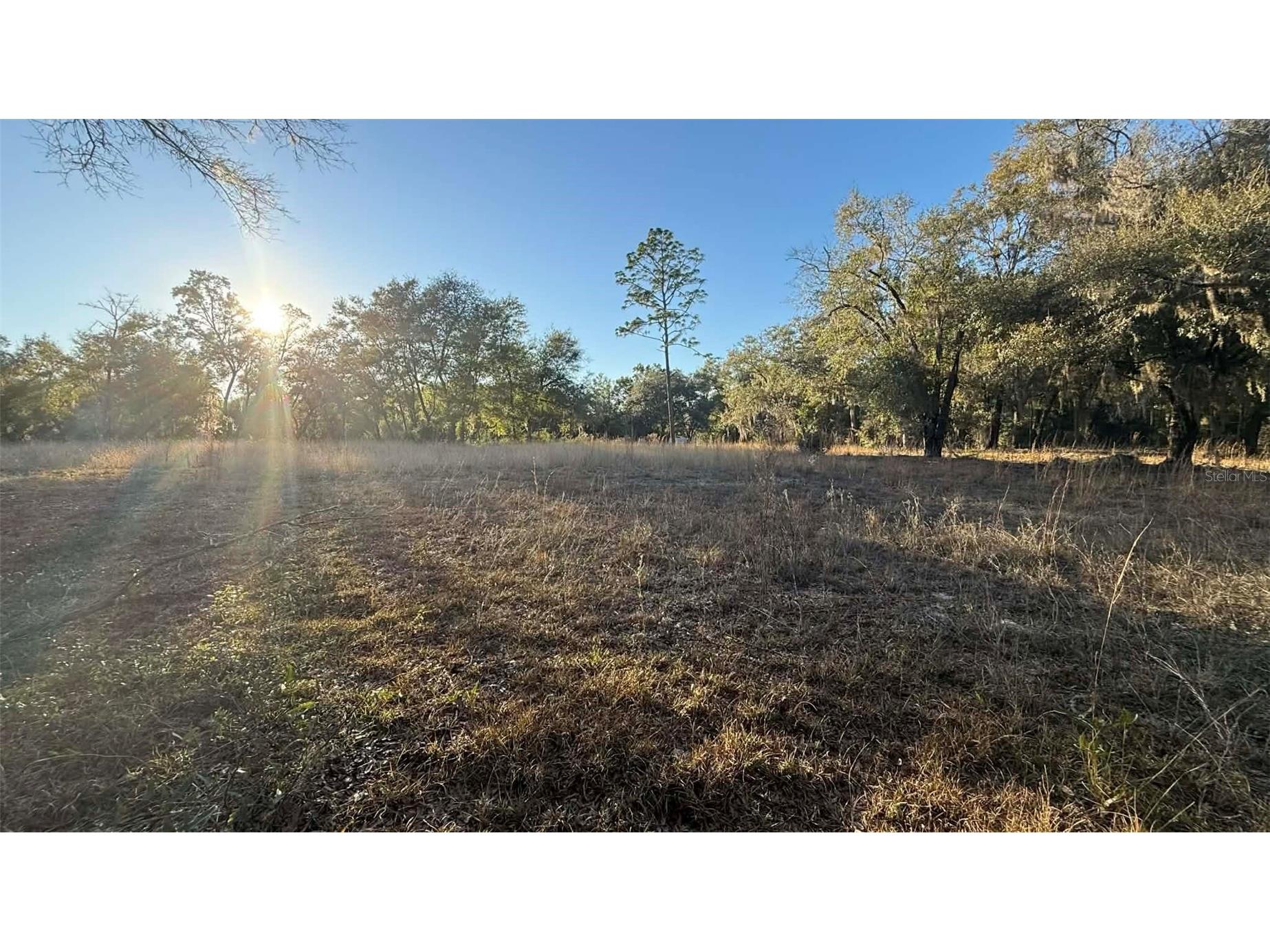 NE 40th Street Williston FL 32696 O6376189 image2