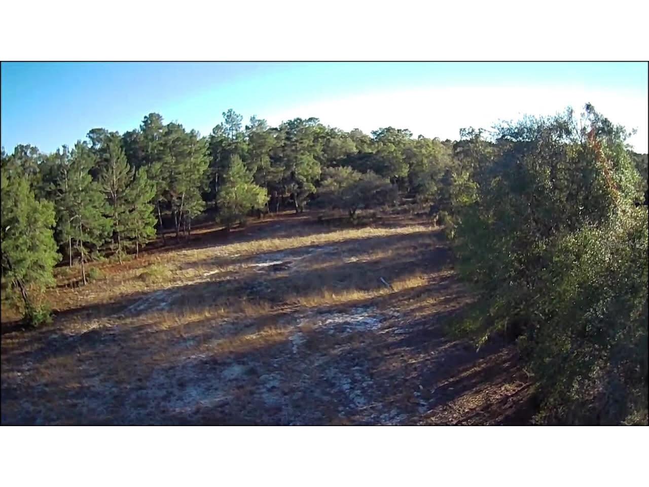 NE 40th Street Williston FL 32696 O6376189 image3