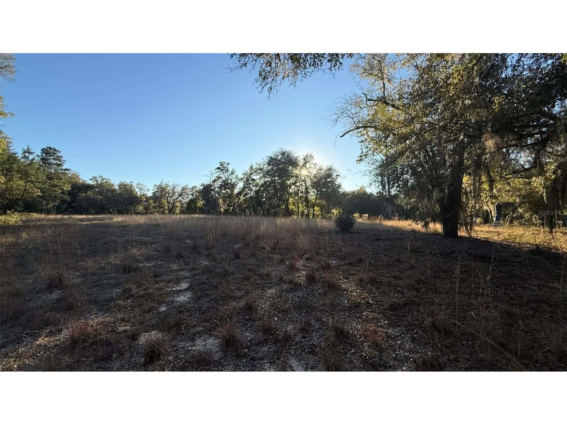 NE 40th Street Williston FL 32696 O6376189 image4