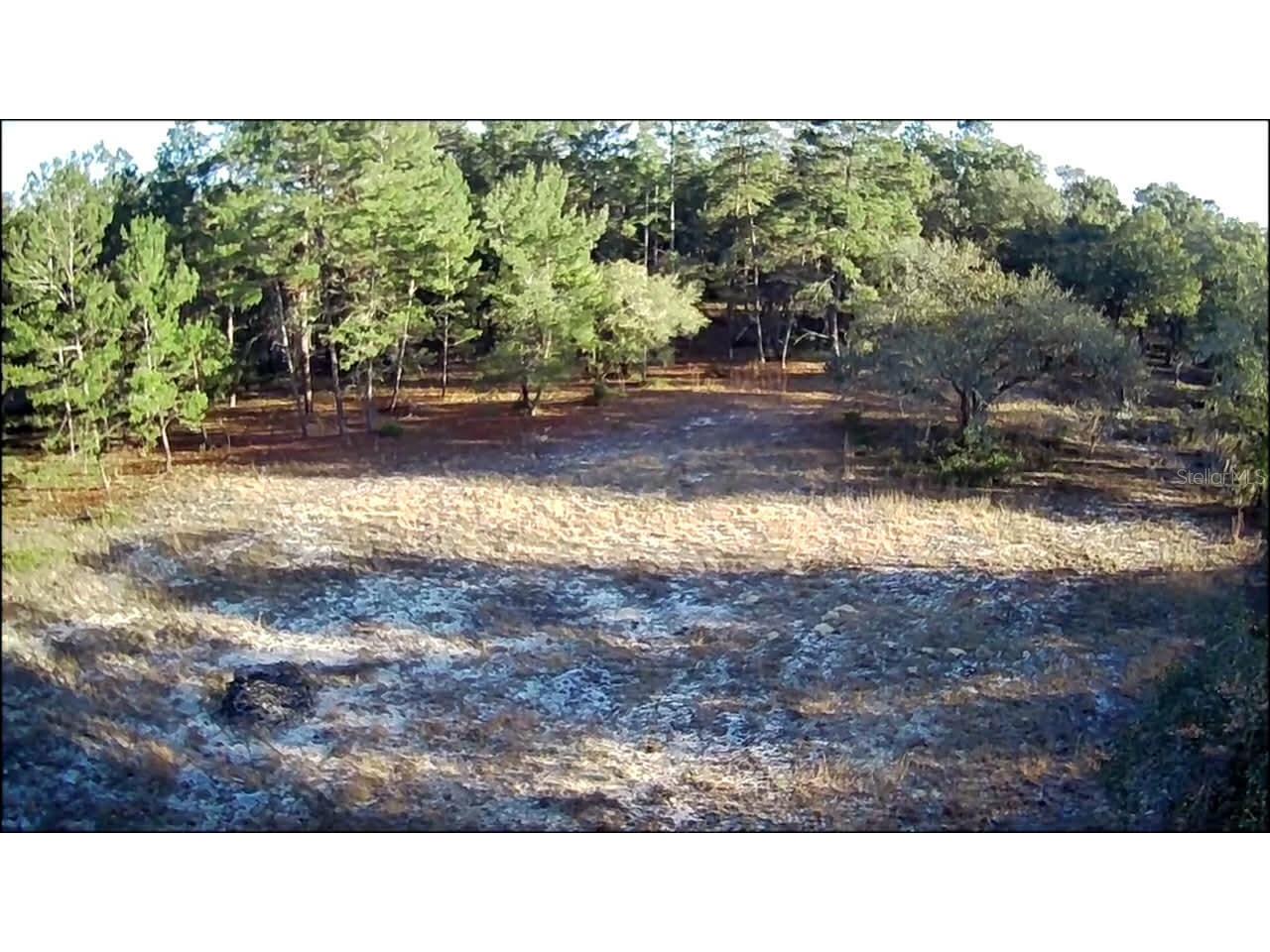 NE 40th Street Williston FL 32696 O6376189 image5