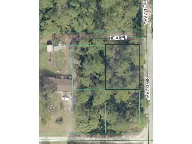 NE 41st Place Silver Springs FL 34488 OM728192 image1