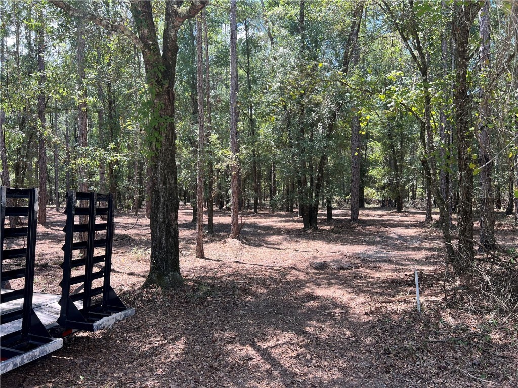 NE 46th Circle High Springs FL 32643 A4620376 image1