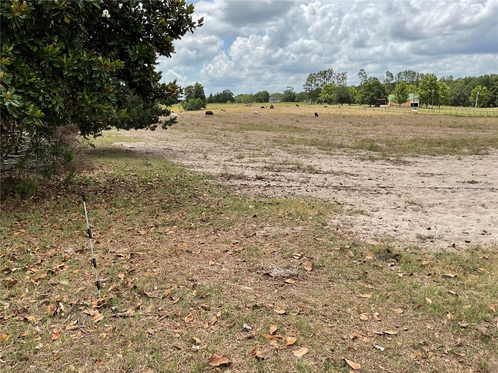 NE 46th Lane Bronson FL 32621 OM702759 image3