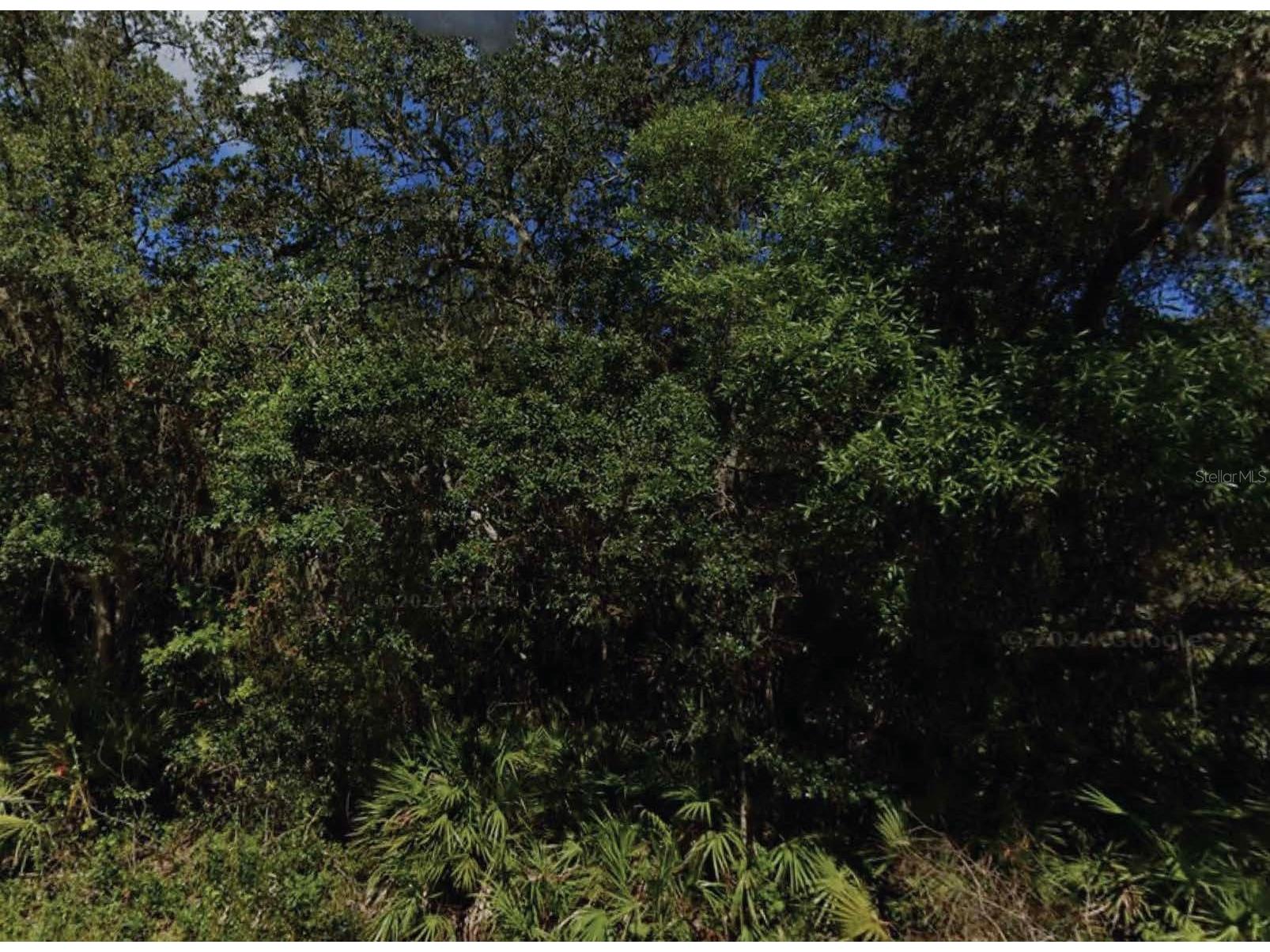 NE 47th Terrace Citra FL 32113 O6391585 image1