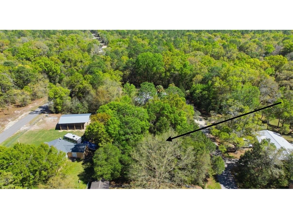 NE 4th Lane Williston FL 32696 O6373541 image1