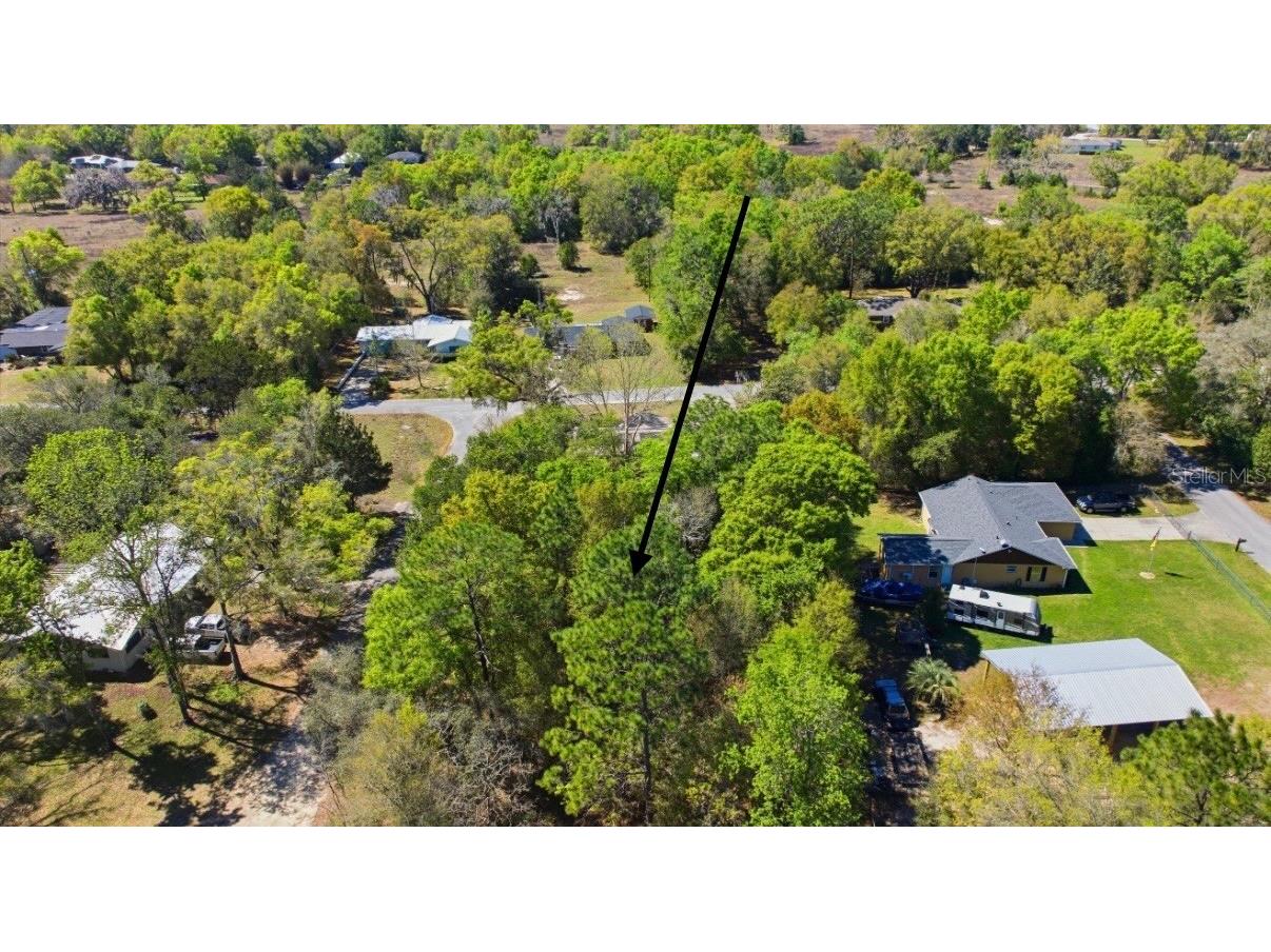 NE 4th Lane Williston FL 32696 O6373541 image2