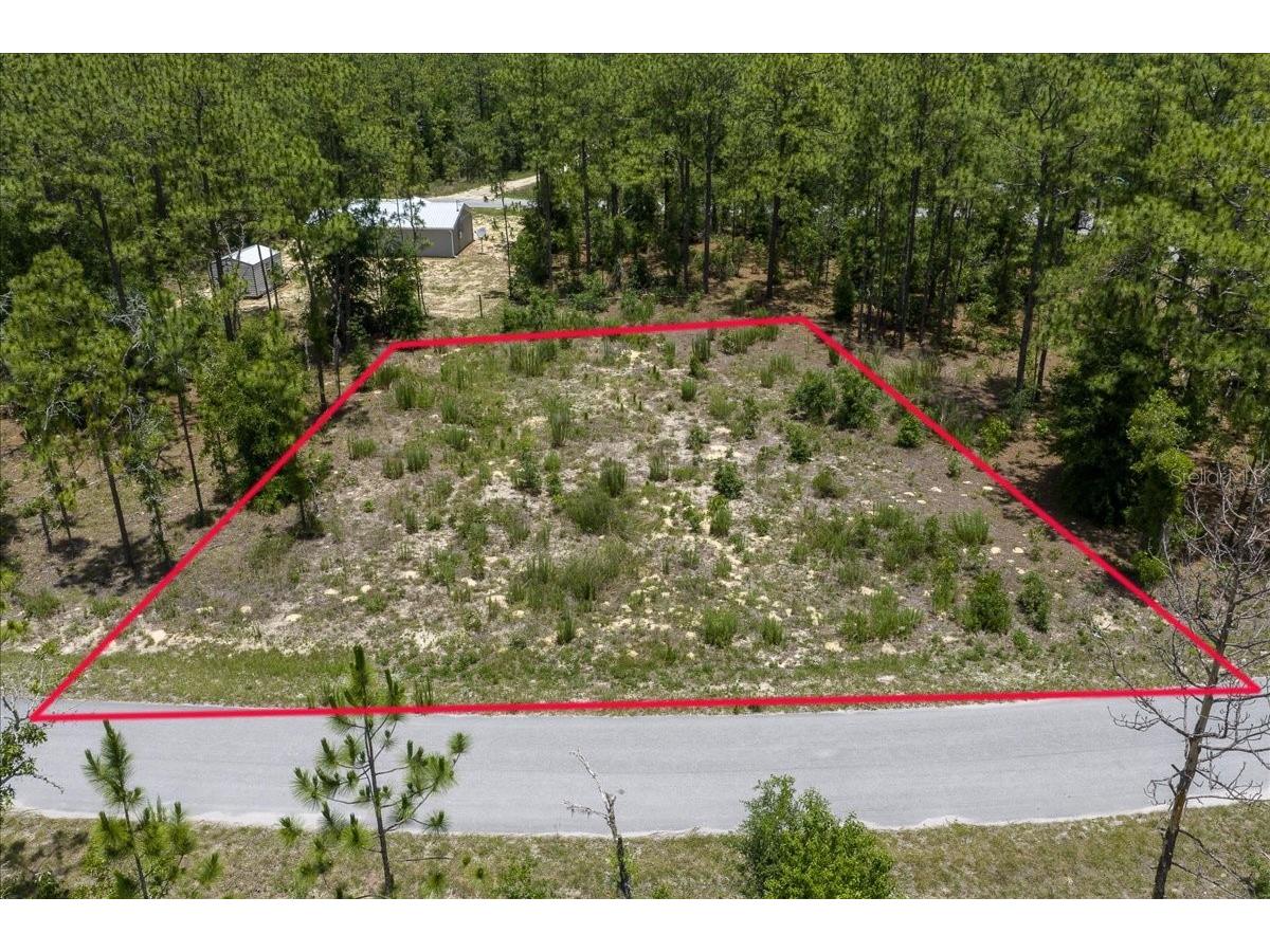 NE 4th Lane Williston FL 32696 OM728146 image1