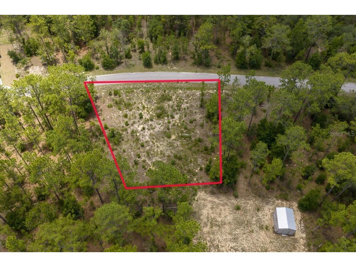 NE 4th Lane Williston FL 32696 OM728146 image2