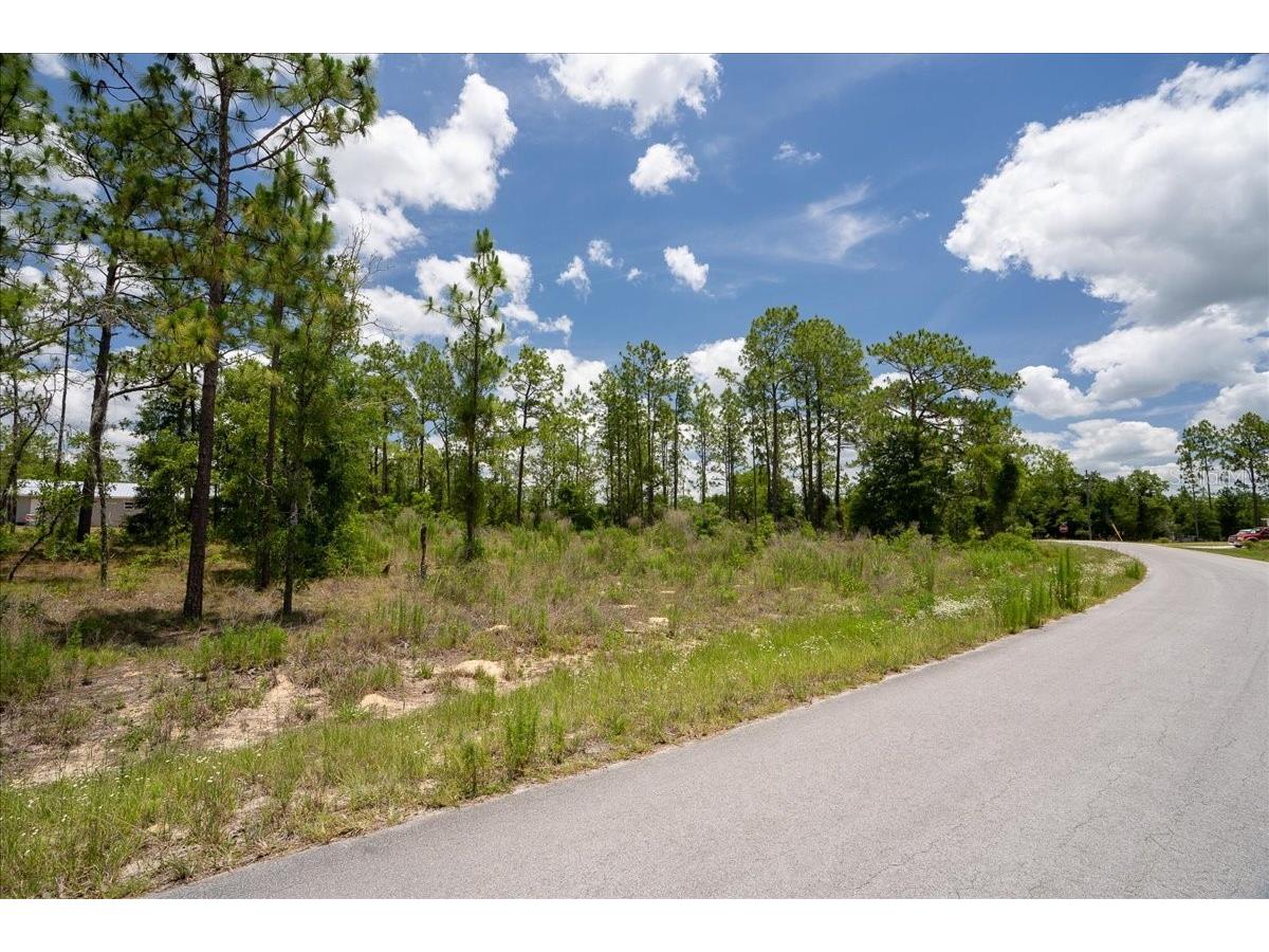 NE 4th Lane Williston FL 32696 OM728146 image3