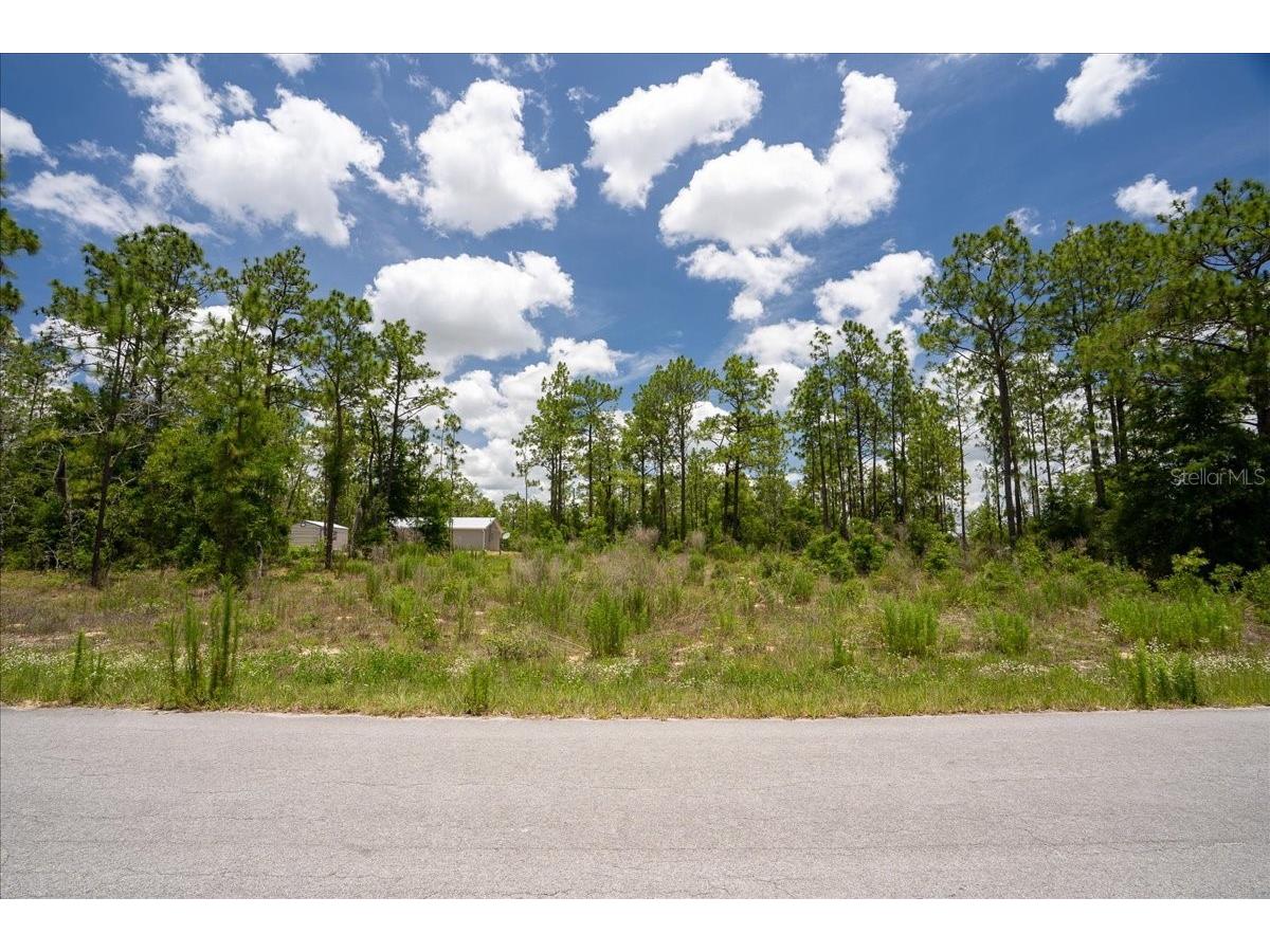 NE 4th Lane Williston FL 32696 OM728146 image4