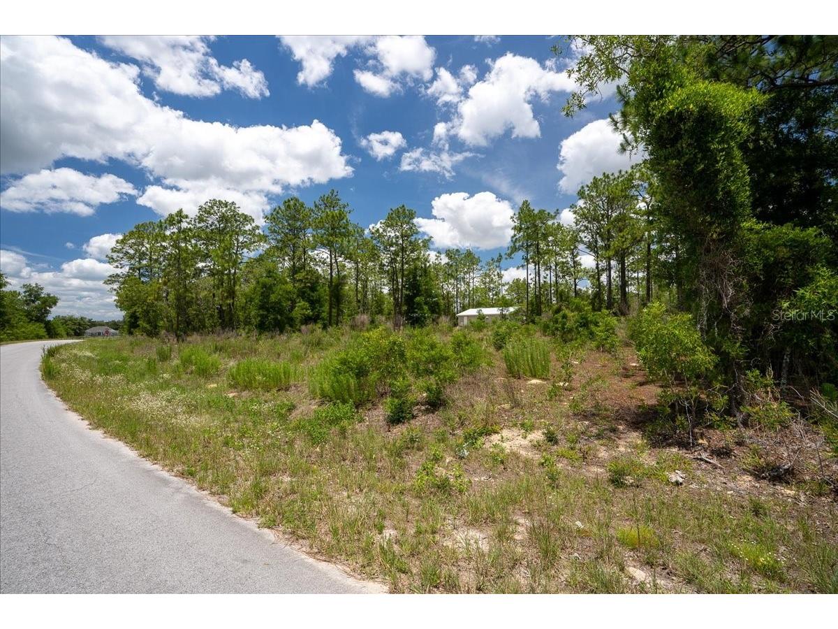 NE 4th Lane Williston FL 32696 OM728146 image5