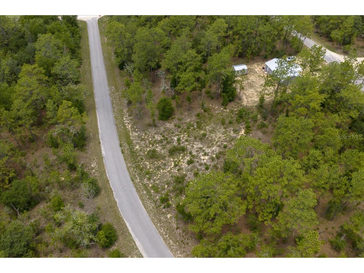 NE 4th Lane Williston FL 32696 OM728146 image6