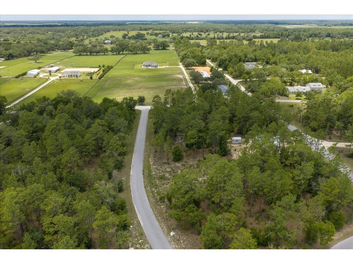 NE 4th Lane Williston FL 32696 OM728146 image7