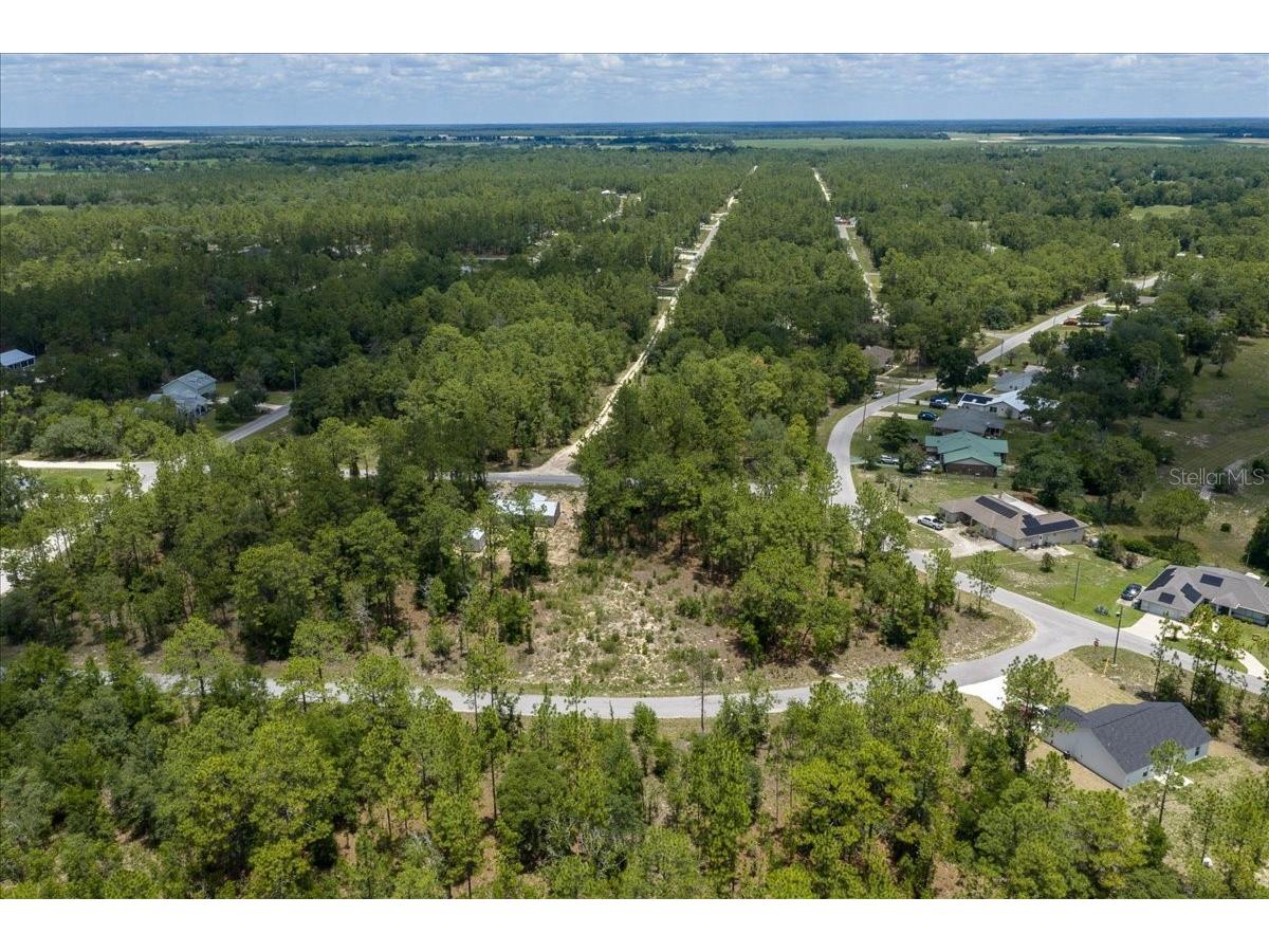 NE 4th Lane Williston FL 32696 OM728146 image8