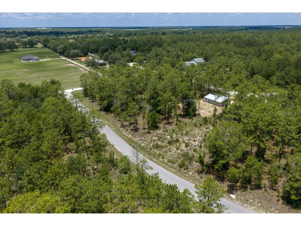 NE 4th Lane Williston FL 32696 OM728146 image9