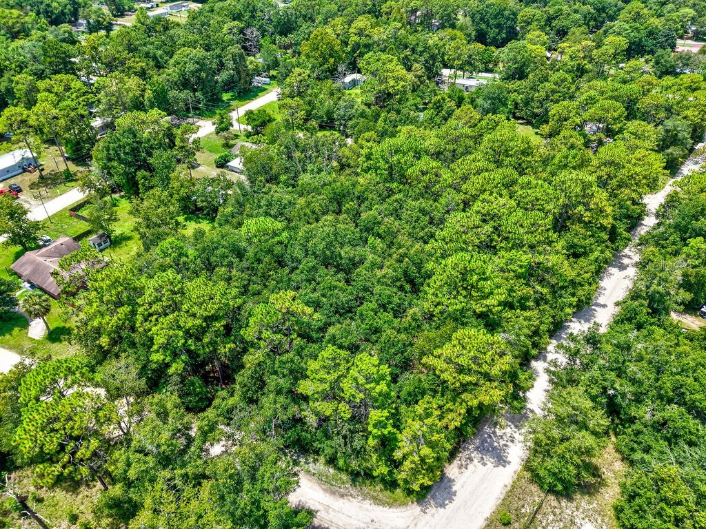 NE 51st Place Williston FL 32696 TB8417248 image12