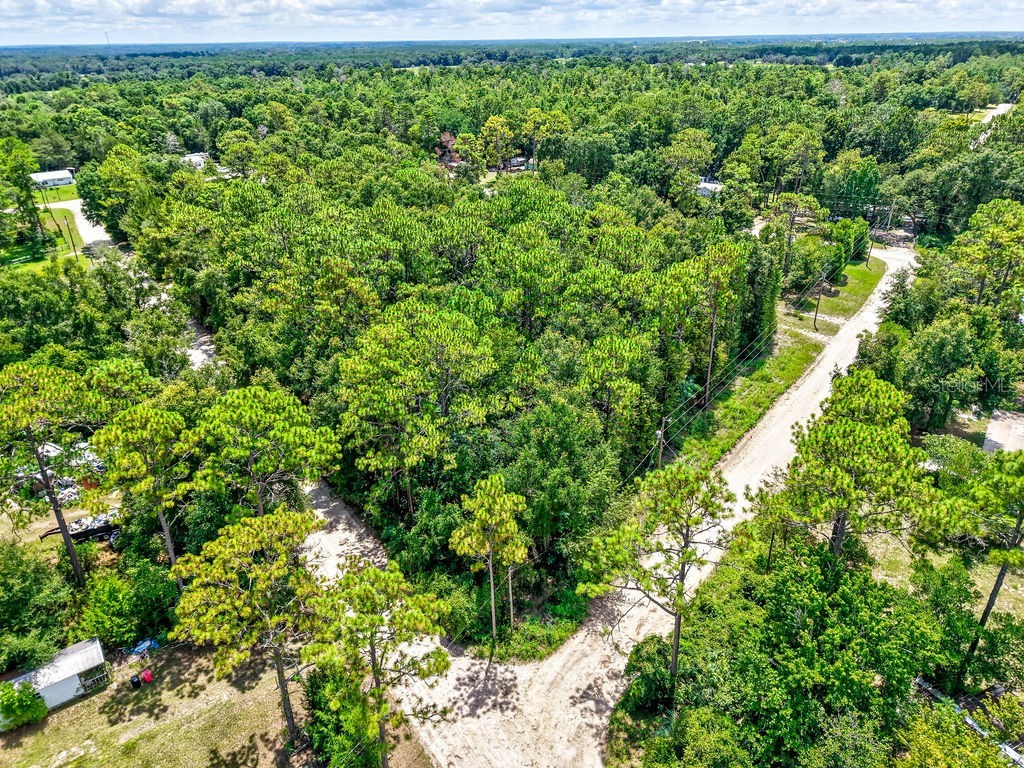 NE 51st Place Williston FL 32696 TB8417248 image13