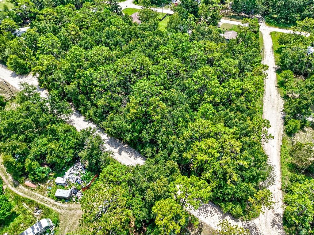 NE 51st Place Williston FL 32696 TB8417248 image17