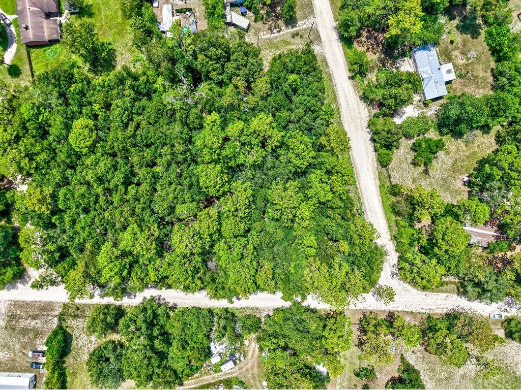 NE 51st Place Williston FL 32696 TB8417248 image3