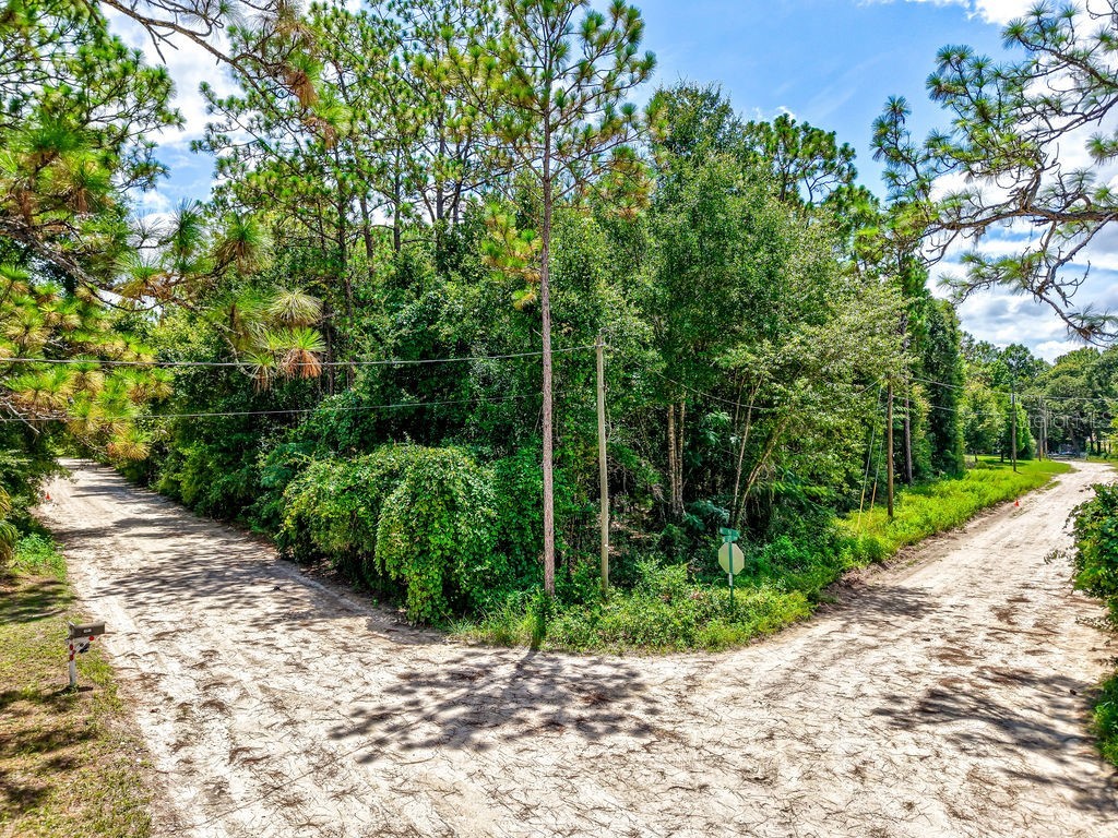 NE 51st Place Williston FL 32696 TB8417248 image4