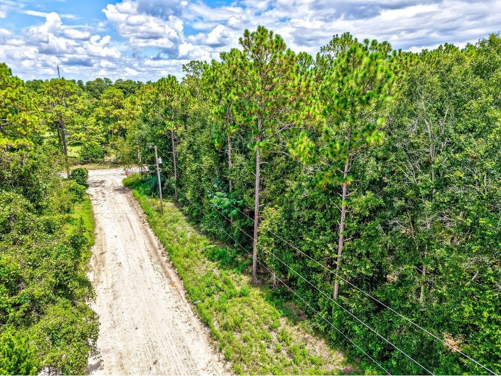 NE 51st Place Williston FL 32696 TB8417248 image6