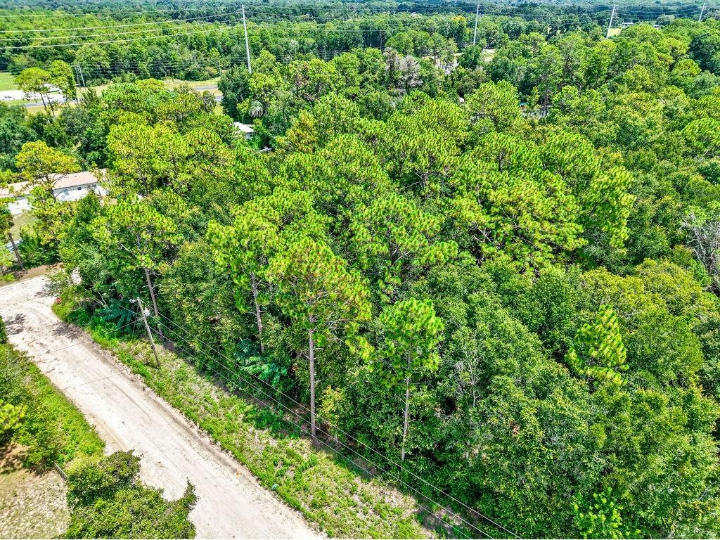 NE 51st Place Williston FL 32696 TB8417248 image7