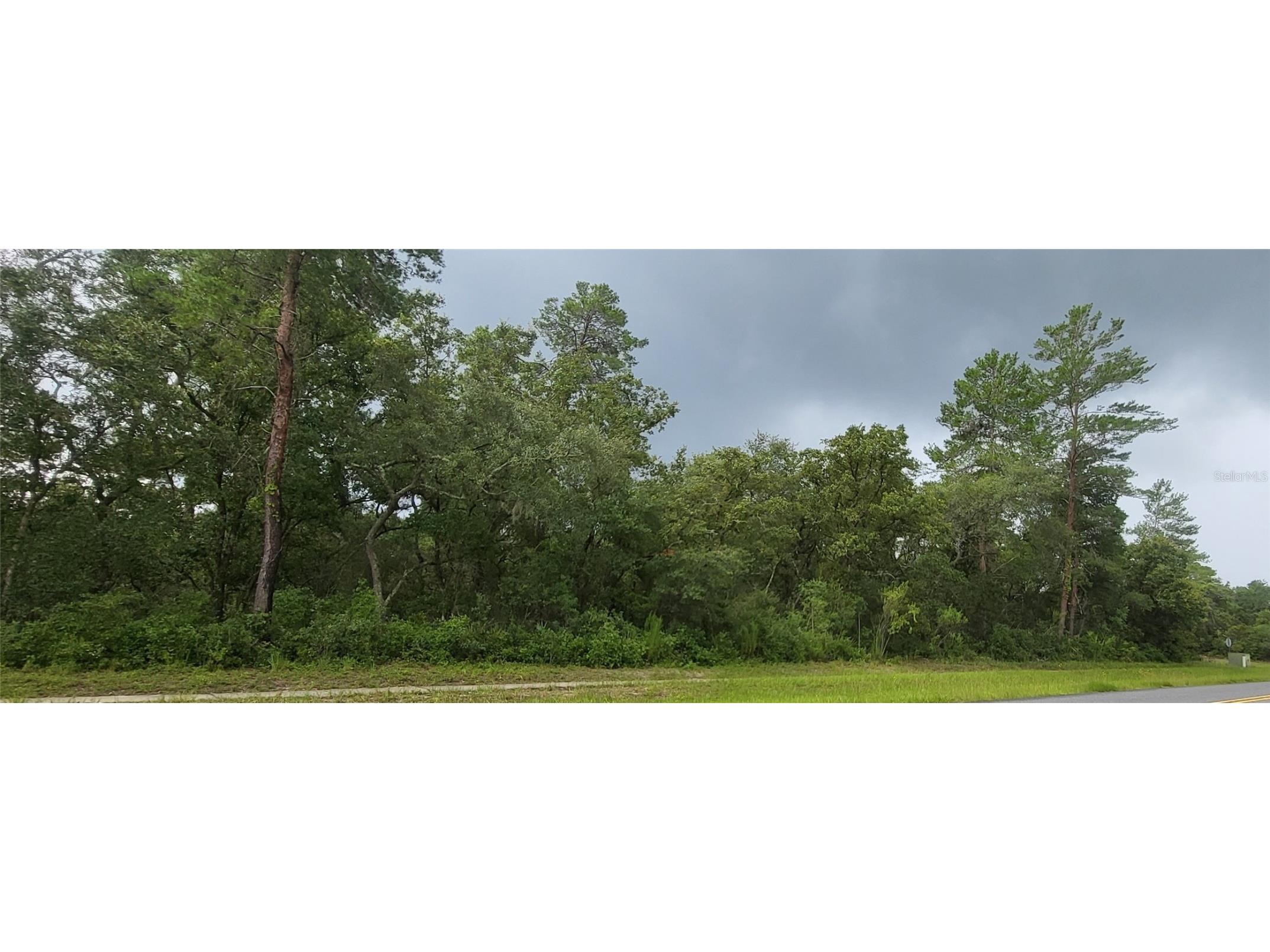 NE 52nd Court #2811 Silver Springs FL 34488 OM660232 image1