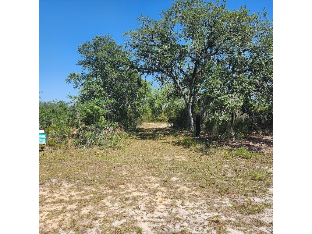 NE 53rd Lane Bronson FL 32621 OM657685 image1