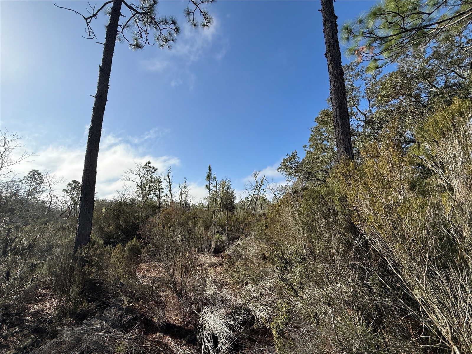 NE 56 Street Bronson FL 32621 GC537645 image1