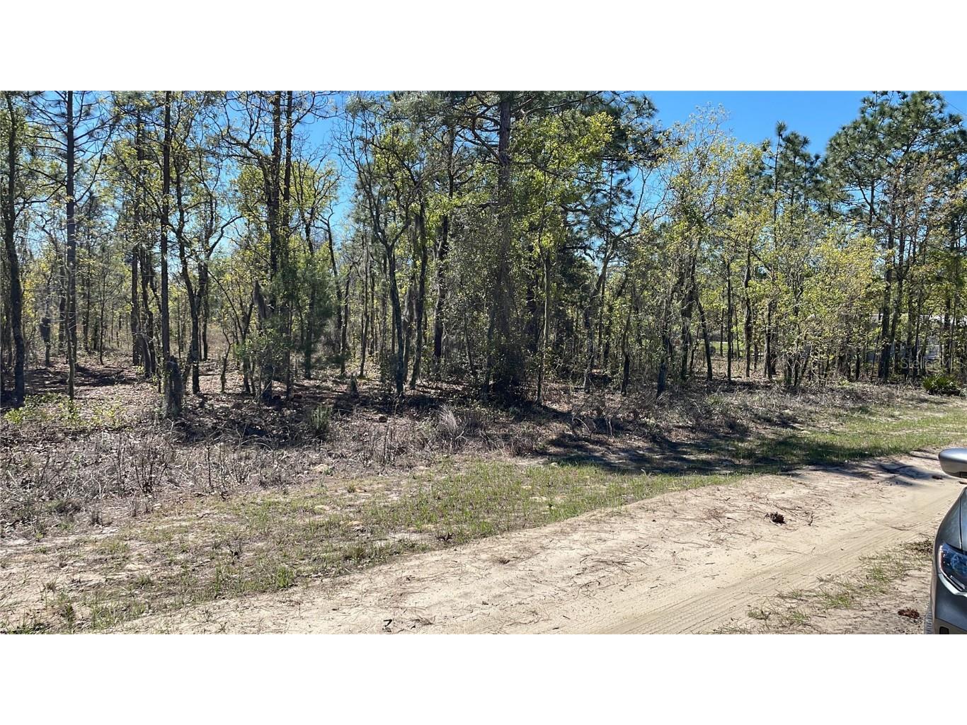 NE 56th Street Bronson FL 32621 O6233760 image1