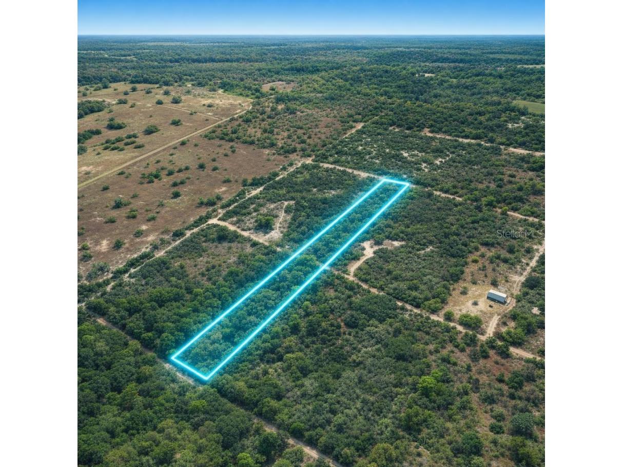 NE 56th Street Bronson FL 32621 TB8502814 image1