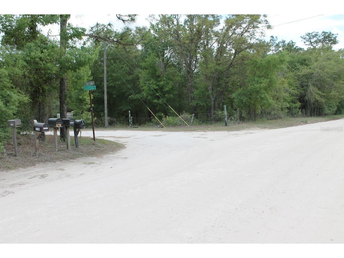 NE 56th Street Bronson FL 32621 TB8502814 image11
