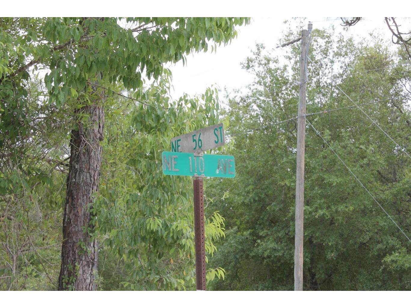 NE 56th Street Bronson FL 32621 TB8502814 image6