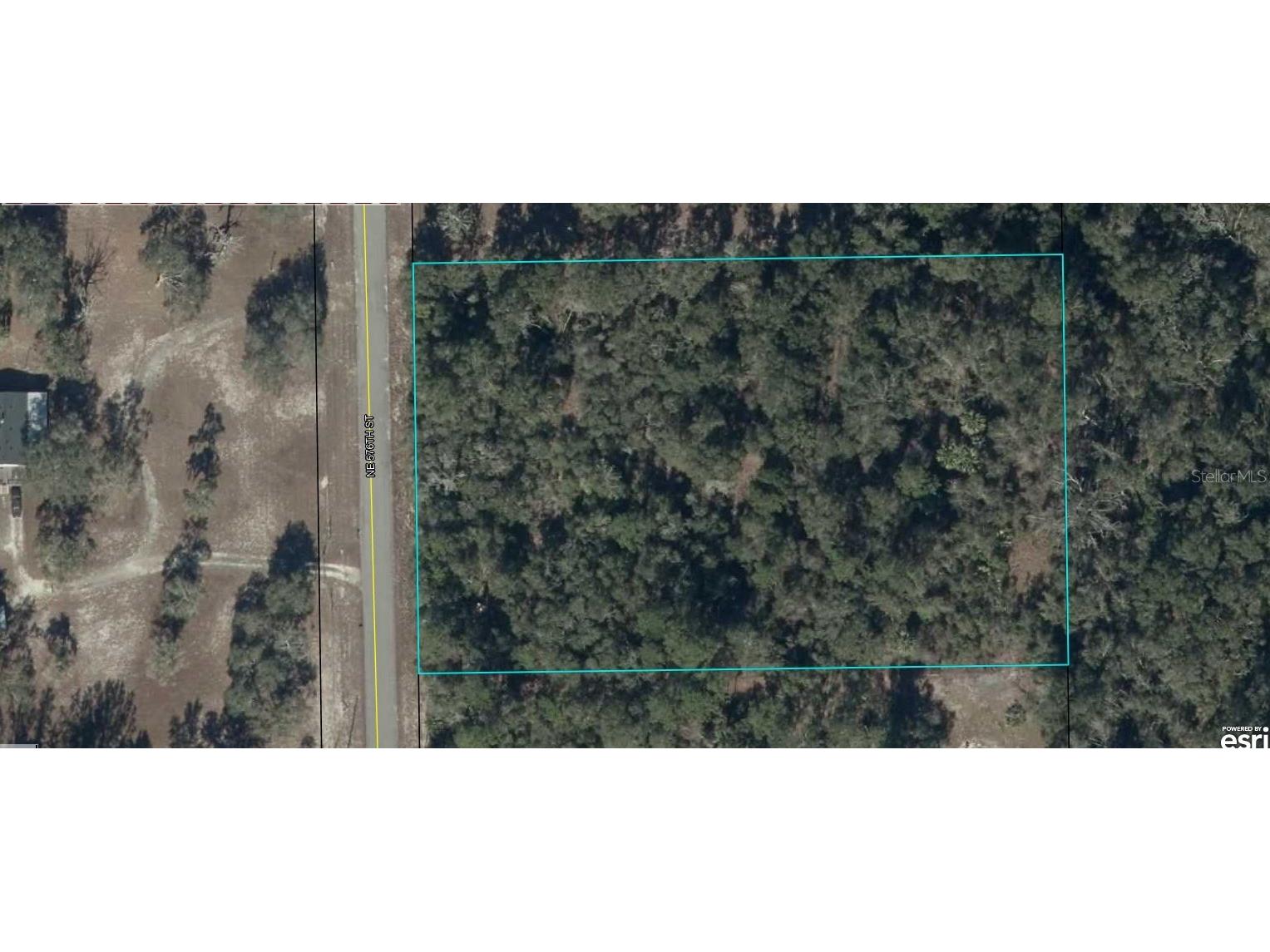 NE 576th Street Old Town FL 32680 A4679827 image1