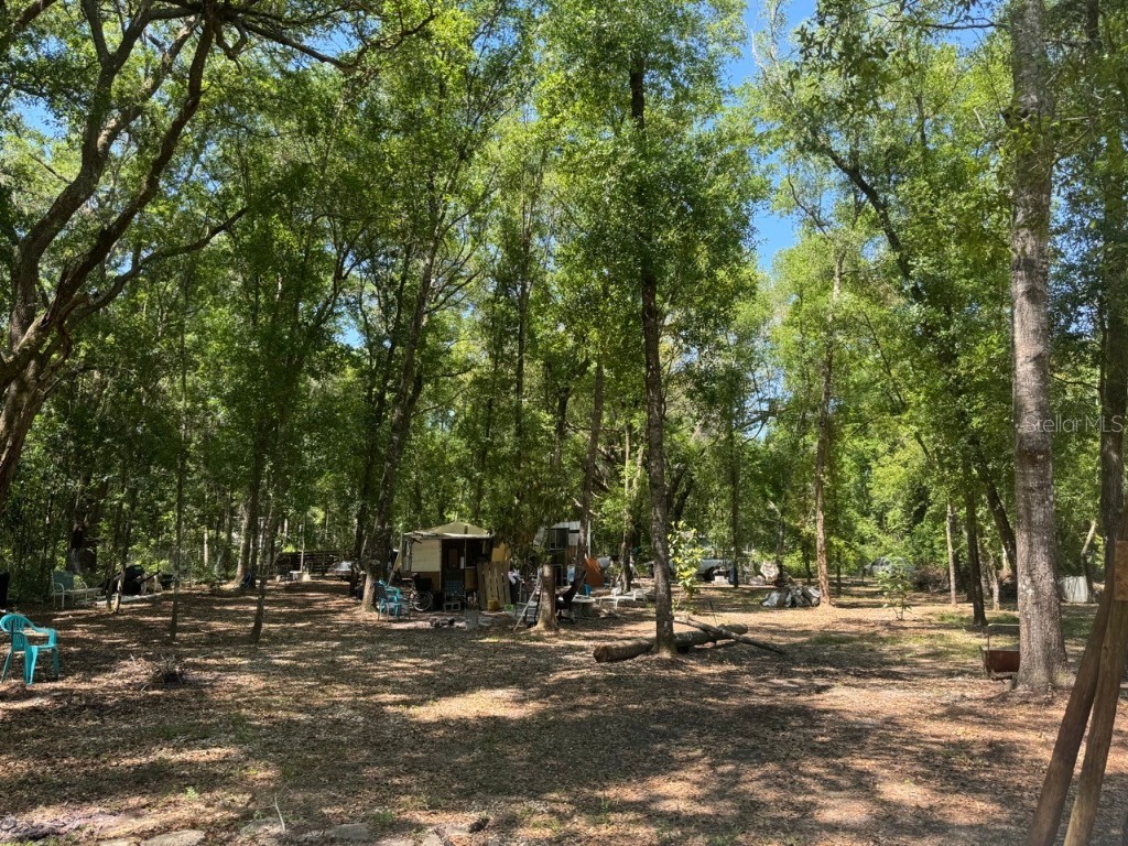 NE 59th Street Silver Springs FL 34488 OM676852 image1