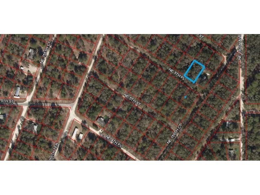 Ne 5th Place Williston FL 32696 O6029731 image1