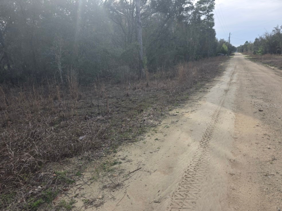 NE 60 Place Bronson FL 32621 TB8511802 image1
