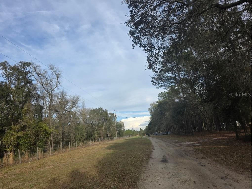 NE 62 Place Williston FL 32696 TB8486050 image1