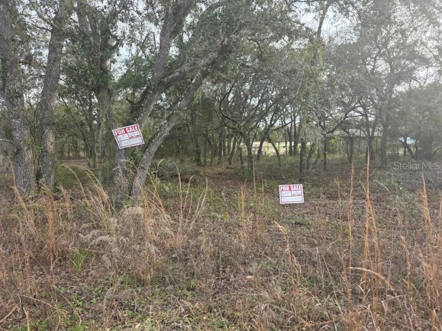NE 62 Place Williston FL 32696 TB8486050 image2
