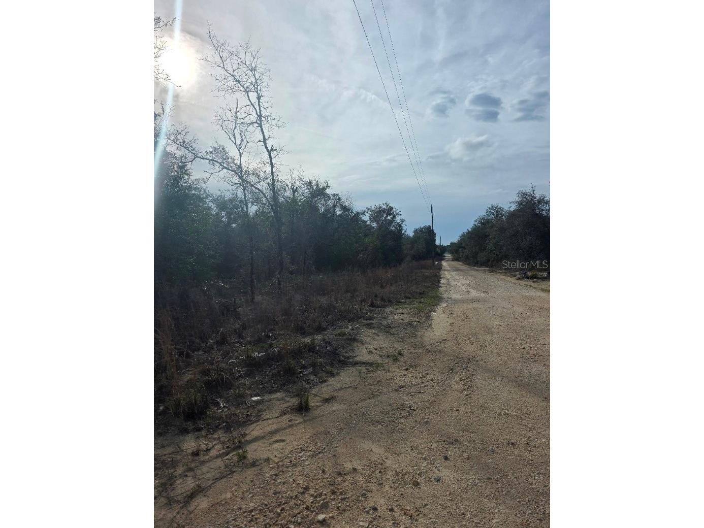 NE 62 Place Williston FL 32696 TB8486050 image3