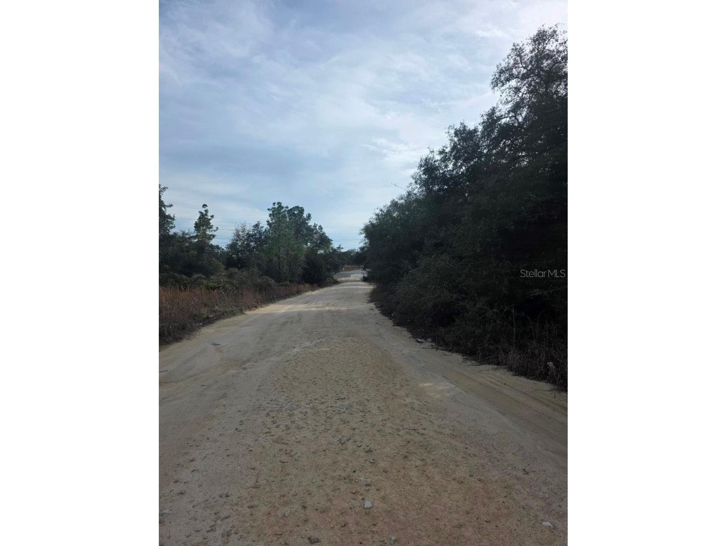 NE 62 Place Williston FL 32696 TB8486050 image4