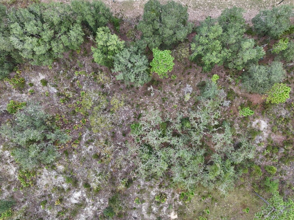 NE 62nd Street Williston FL 32696 TB8436970 image10