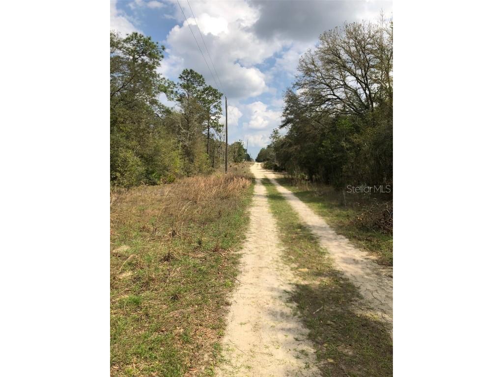 Ne 63rd Pl Williston FL 32696 L4935752 image1