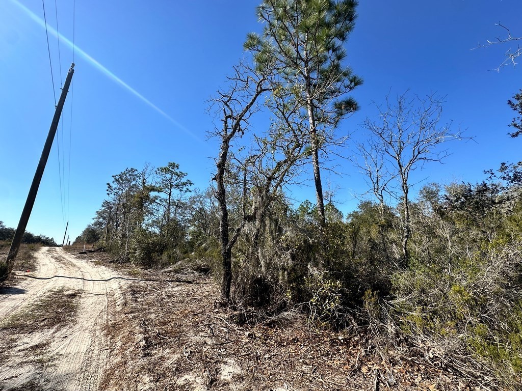 NE 63rd Place Williston FL 32696 GC520623 image3