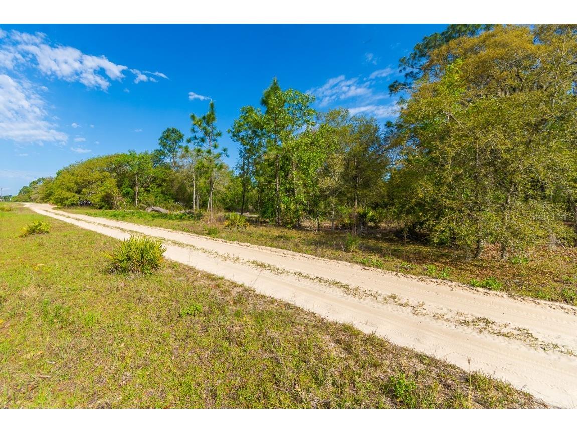 NE 65 Street Williston FL 32696 GC530354 image1