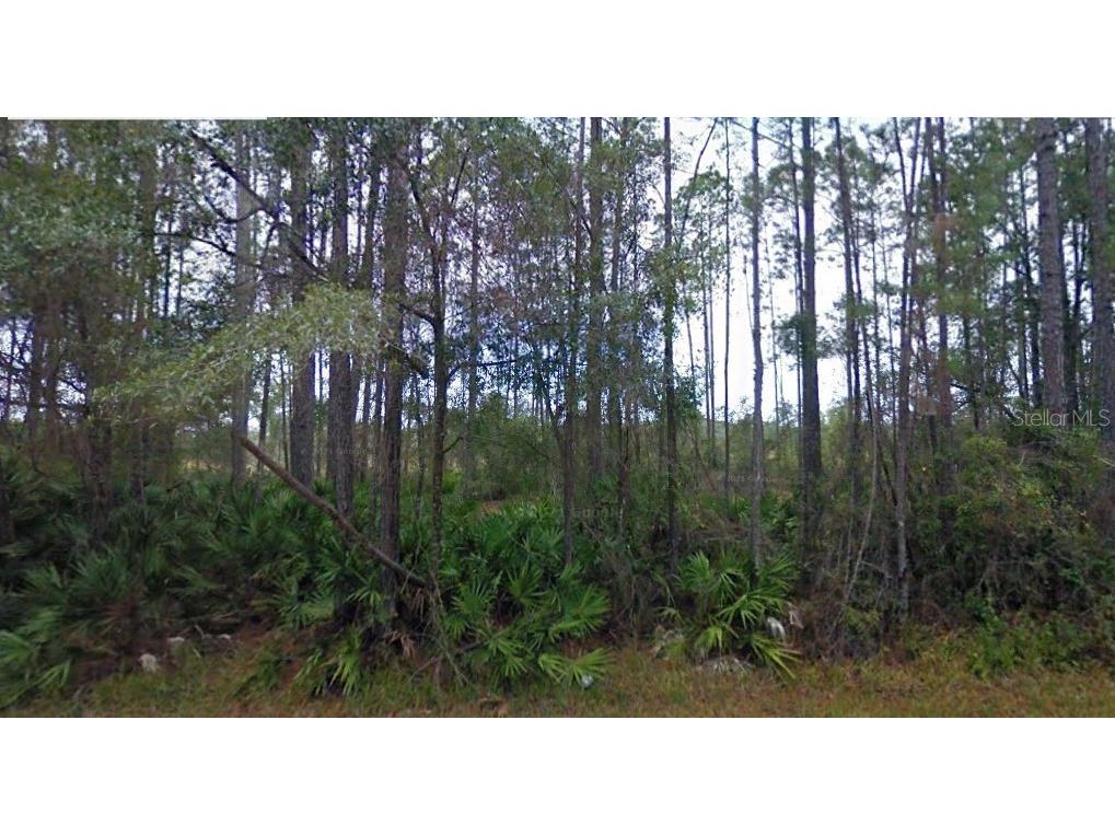 NE 65th Avenue Citra FL 32113 O6242141 image1